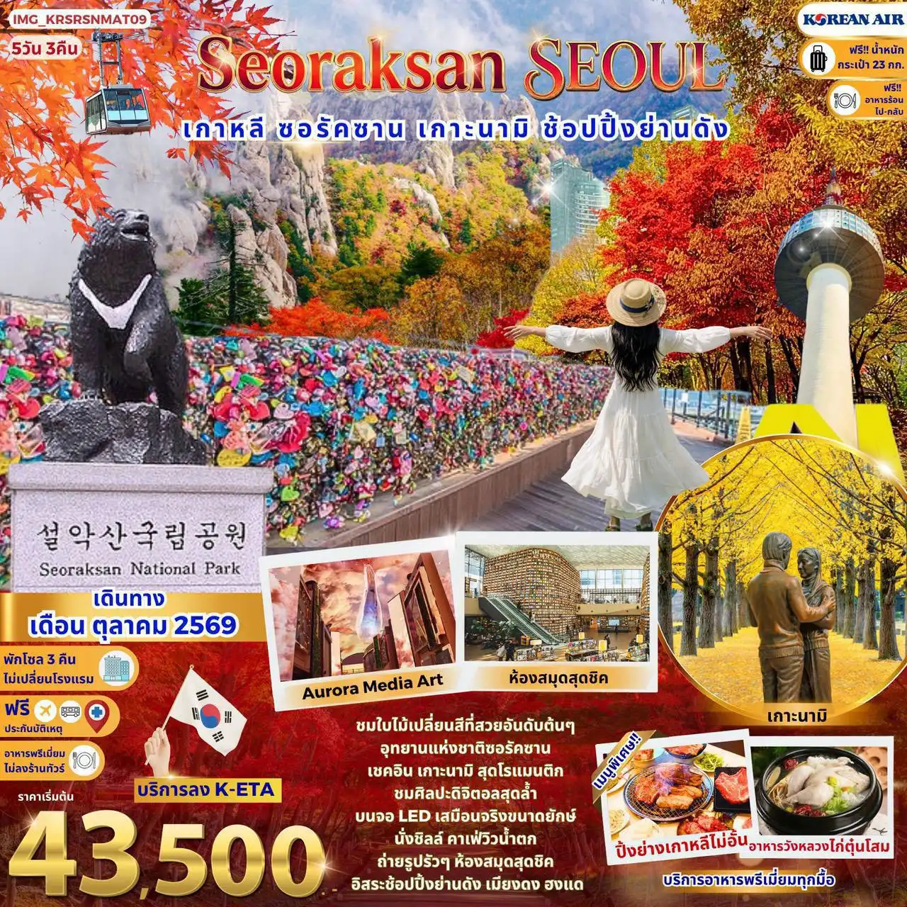 ทัวร์เกาหลี โซล ใบไม้เปลี่ยนสี ซอรัคซาน เกาะนามิ เมียงดง ฮงแด 5 วัน 3 คืน by KOREAN AIR (IMG_KRSRSNMAT09)